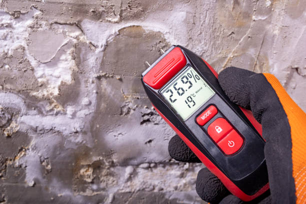 Best Post-Flood Mold Remediation in Roanoke, AL